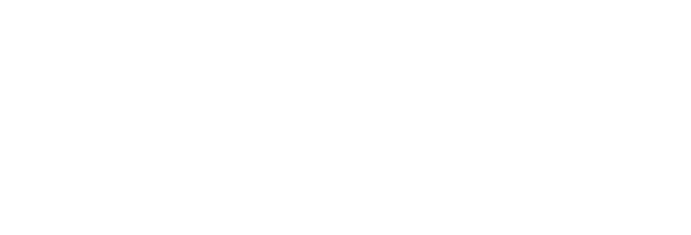 WisePlay Media